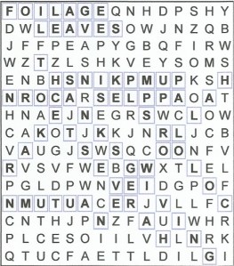 Fall Word Search Answers