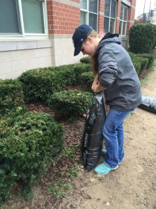 CHEC Beautification Day